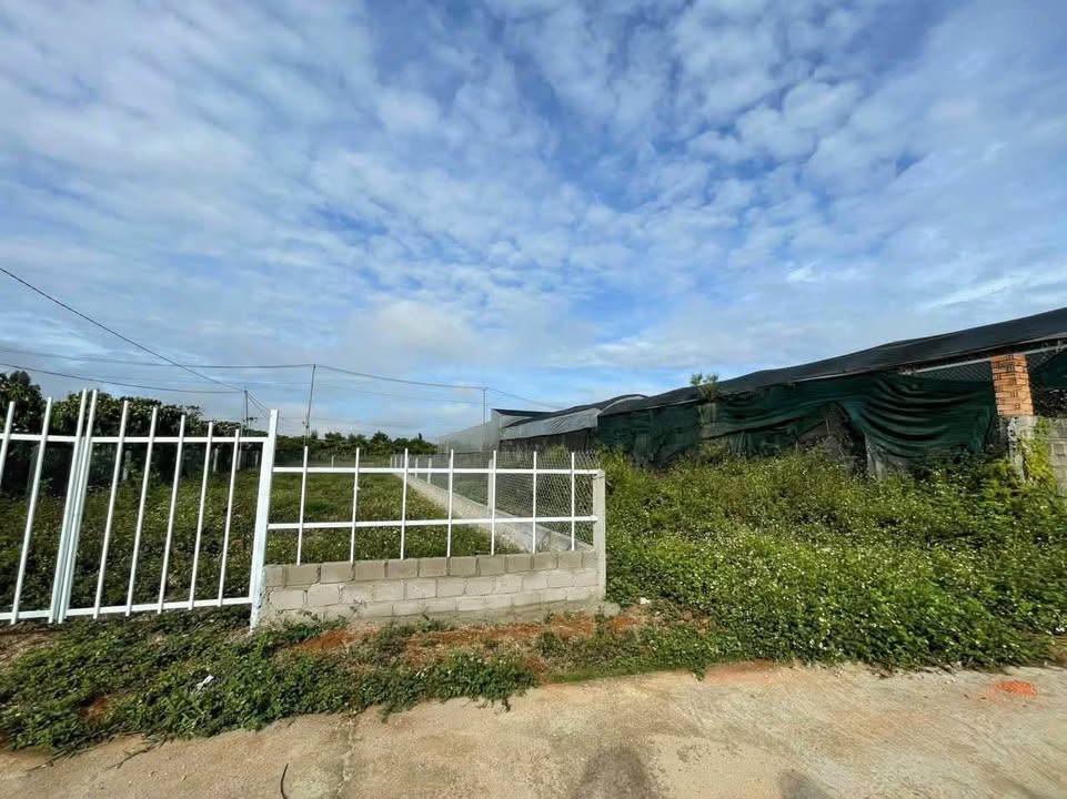 Đất hẻm Trịnh Hoài Đức, Lộc Nga, Bảo Lộc 308m² giá 1.44 tỷ - Cơ hội đầu tư tuyệt vời!