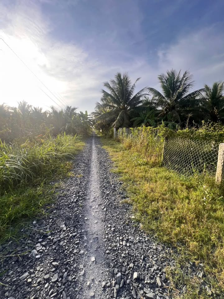 Đất nền mặt tiền đường đá mi, xã Bình Phú, 160m² - Cơ hội đầu tư tuyệt vời!