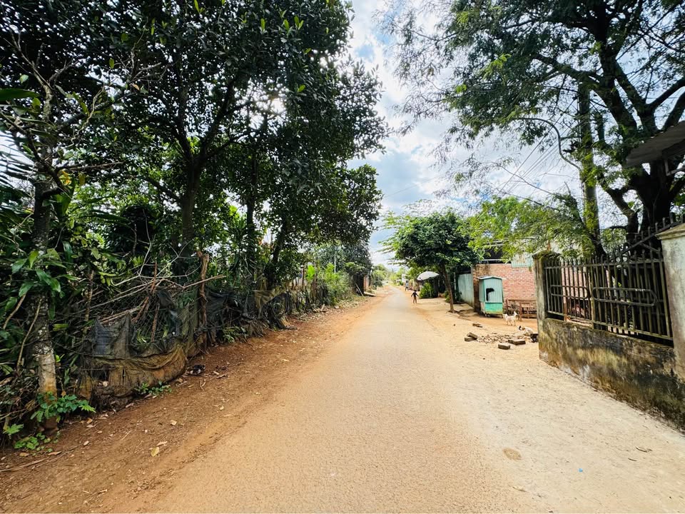 Đất nền liền kề đường Bazan, An Phú, 120m² giá 900 triệu - Cơ hội đầu tư hấp dẫn!