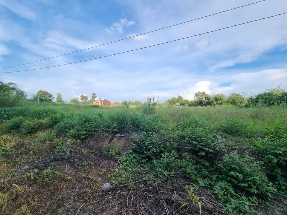 Đất nền Trường Hoà, Hòa Thành 1100m² giá 2 tỷ - Đầu tư sinh lời ngay!