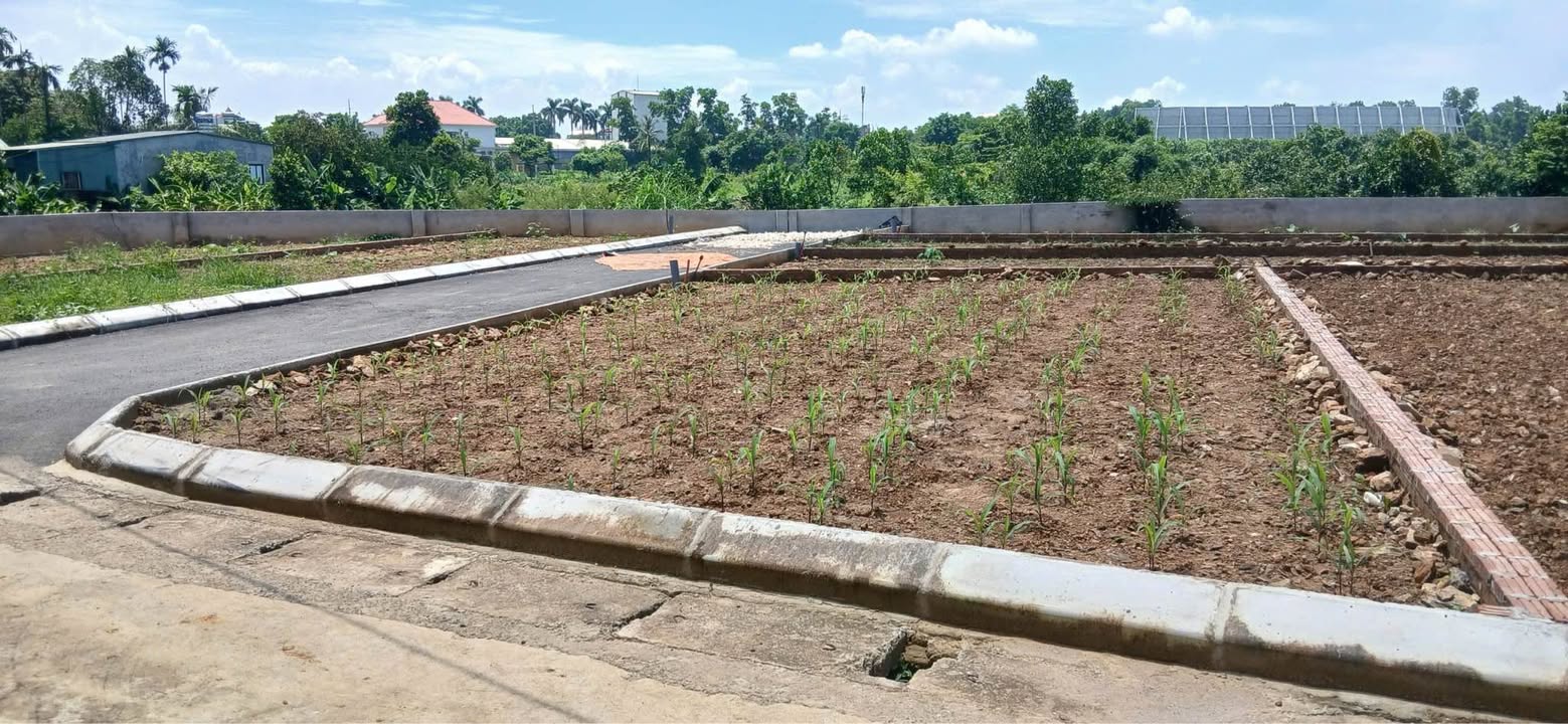 Đất nền 100m² tại xã Phú Cát, huyện Quốc Oai - Lô góc mặt tiền 8m, vị trí đắc địa!