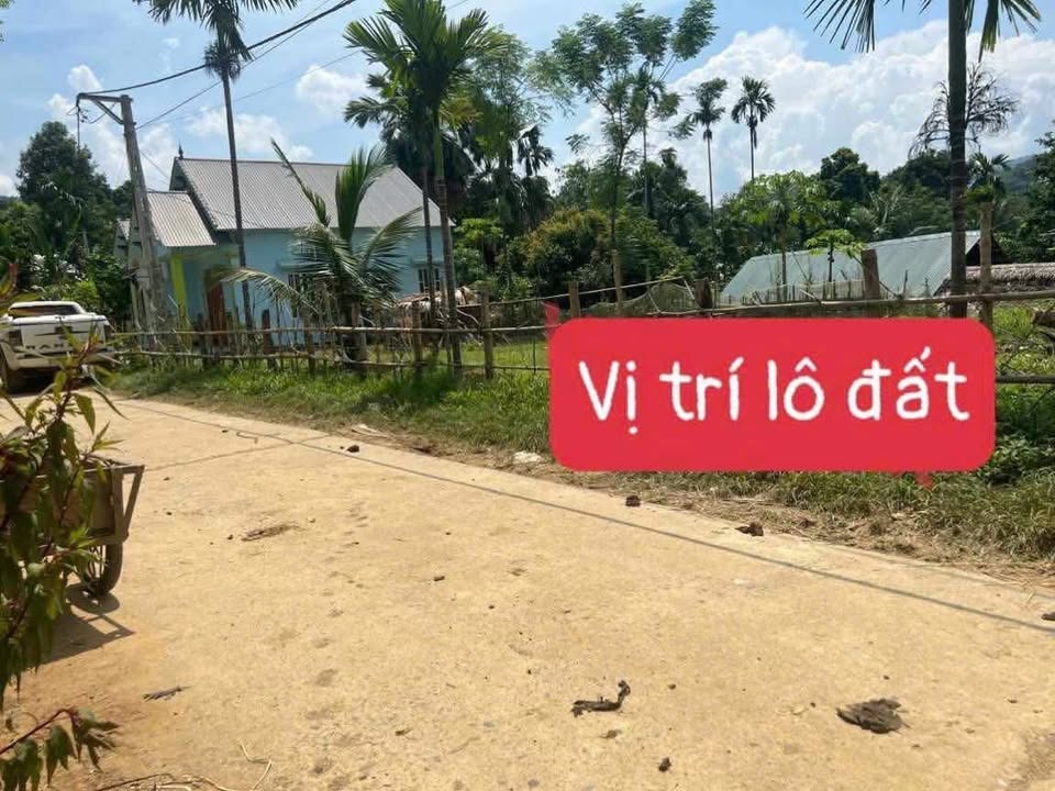 Đất nền Điền Thường, Bá Thước 150m² giá 100 triệu - Cơ hội đầu tư tuyệt vời!