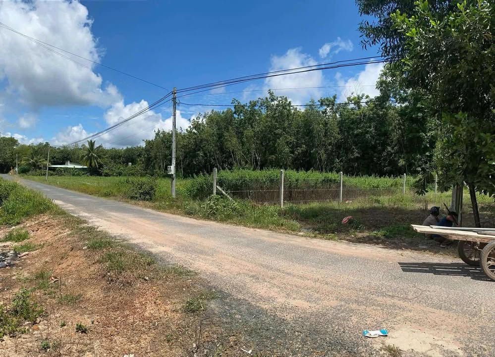 Đất nền Thạnh Tây Tân Biên 540m² giá 620 triệu - Đất sạch, sổ hồng chính chủ!