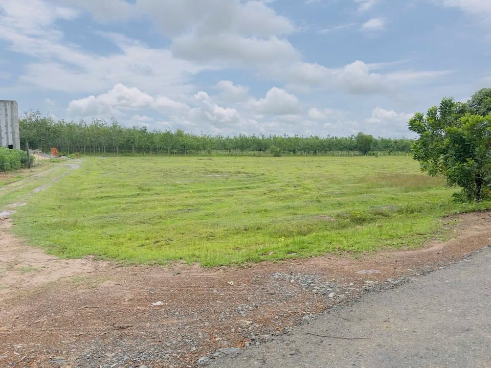 Đất thổ cư Hòa An, Hòa Hội, Châu Thành 979m² giá 7.15 tỷ - Đầu tư sinh lời ngay!