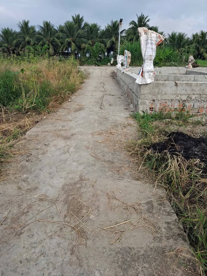 Đất thổ cư 654m² tại Ấp Bình Tây, Xã Bình Trinh - Giá chỉ 570 triệu!