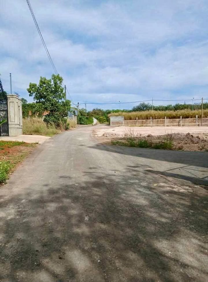 Đất nền Tân Trà 2, Tân Bình, 162m² giá 800 triệu - Cơ hội đầu tư sinh lời!