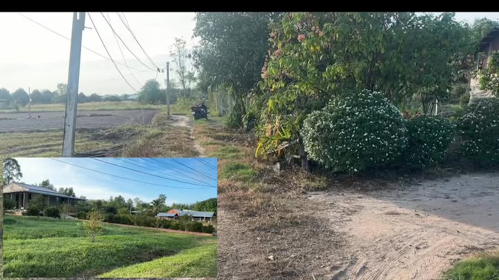 Đất nền giá rẻ tại ấp Long Hòa 2, Bến Cầu, Tây Ninh - Chỉ 199 triệu!