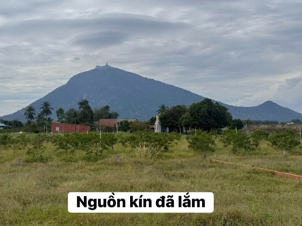 Đất Suối Đá DMC Tây Ninh 200m² giá 300 triệu - Mặt tiền nhựa 20m, view núi tuyệt đẹp!