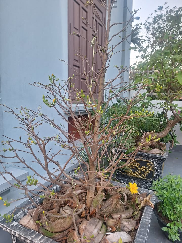 Đất kinh doanh Thanh Hà Hải Dương 130m² giá chỉ 4.05 tỷ - Vị trí đắc địa