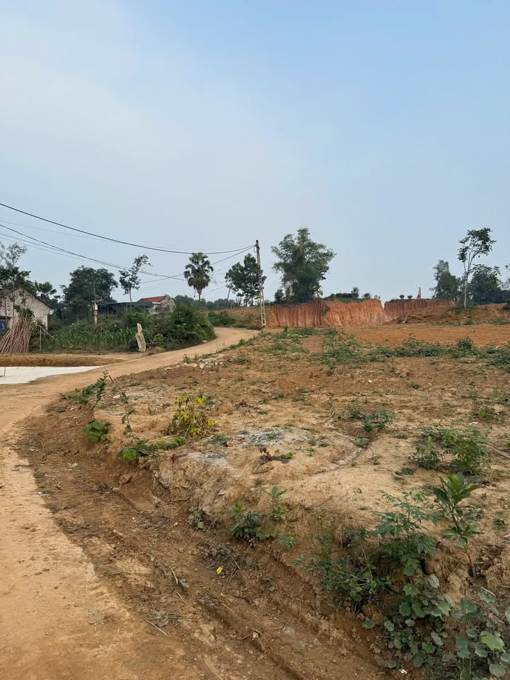 Đất 2 mặt tiền khu 6, Phong Châu, Phú Thọ 100m² - Đầu tư sinh lời ngay!