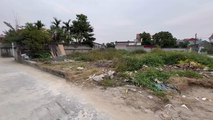 Đất nền Vĩnh Hòa, Vĩnh Bảo, Hải Phòng 104m² giá thỏa thuận - Sổ đỏ chính chủ!