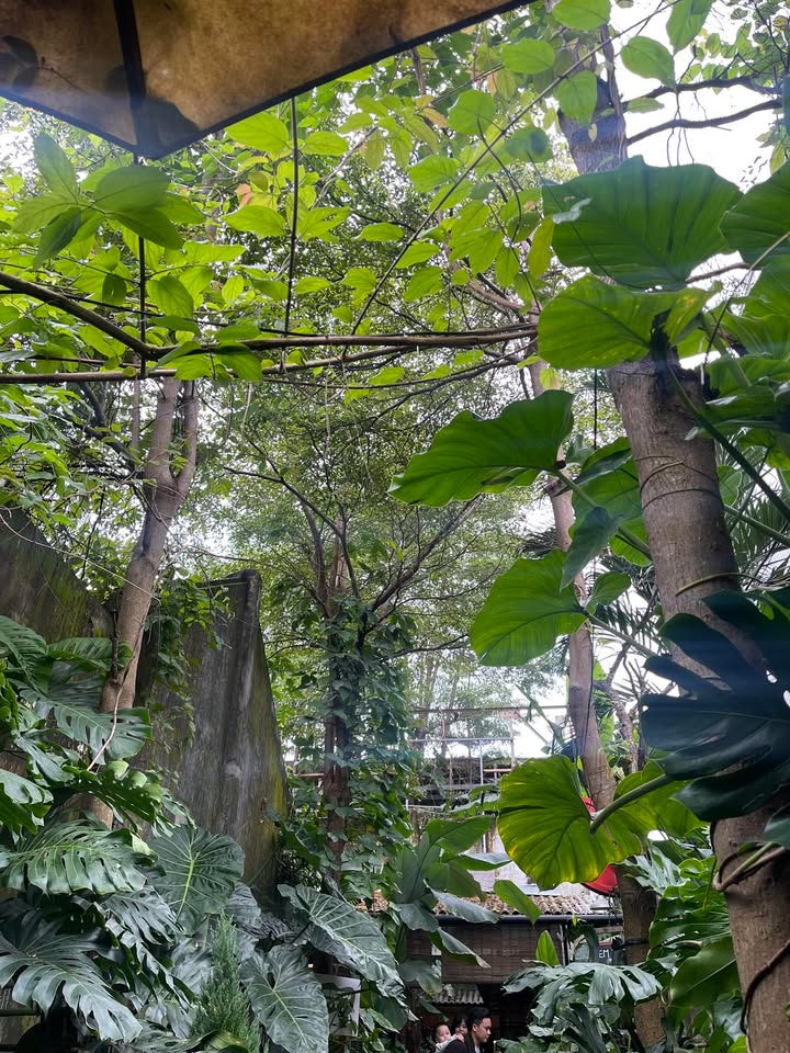 Đất nền Hoàng Sa Đà Nẵng 310m² giá 40 tỷ - Đối diện casino, cơ hội đầu tư tuyệt vời!