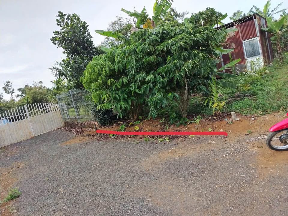 Đất nền B'lao 165m² giá 1.3 tỷ - Đầu tư sinh lời ngay!