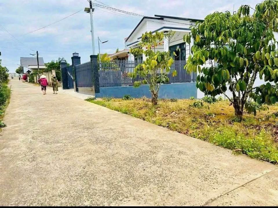 Đất thổ cư mặt tiền hẻm 146 Lê Phụng Hiểu 288m² giá 1.9 tỷ - Đầu tư sinh lời ngay!