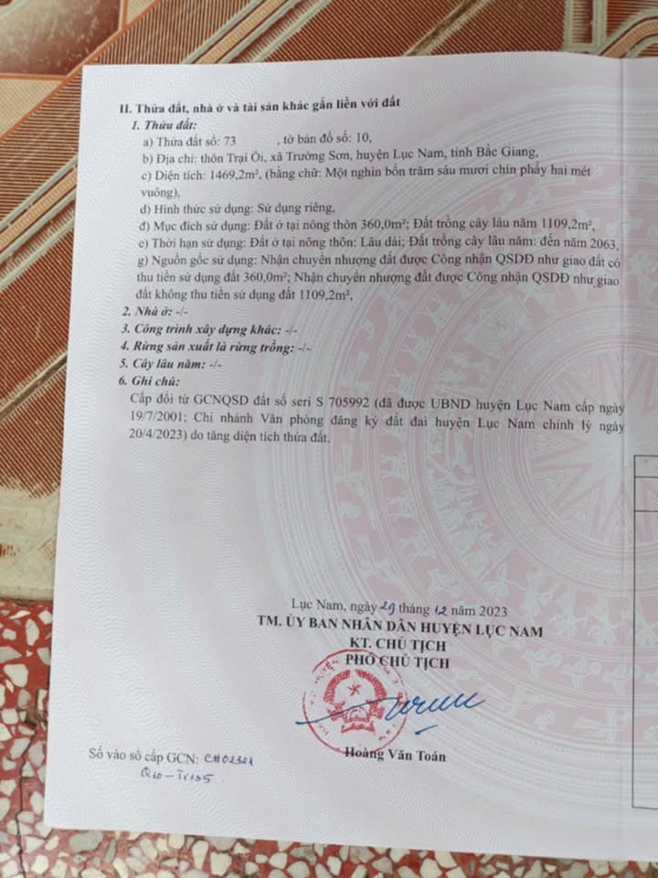 Đất nền xã Trường Sơn, huyện Lục Nam 1500m² chỉ 1 tỷ - Cơ hội đầu tư hấp dẫn!