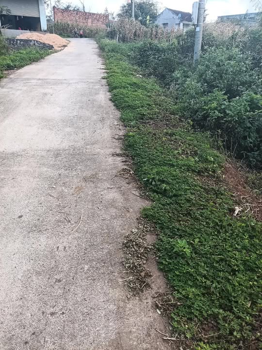 Đất nền mặt đường nhánh Tuyên 2 Đắk R'La 560m² giá 1.1 tỷ - Cơ hội đầu tư sinh lời!