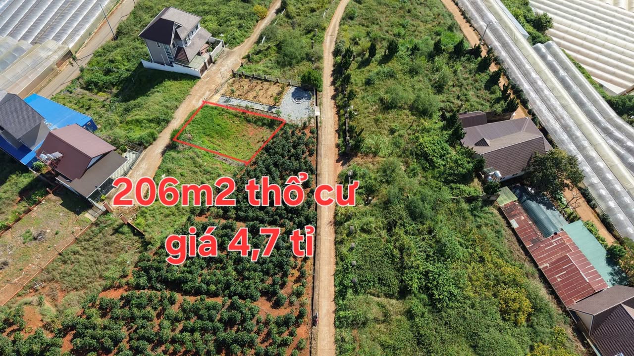 Đất thổ cư 206m² tại Phường Xuân Trường, Đà Lạt giá 4.7 tỷ - View đẹp gần Hồ Xuân