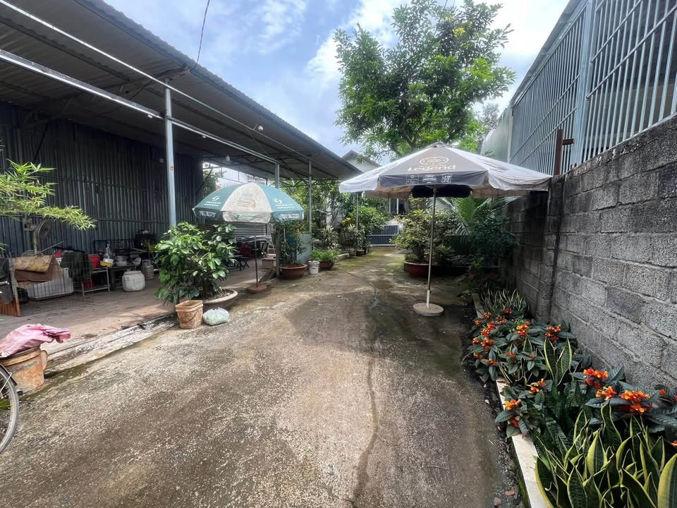 Nhà hẻm xe hơi Mai Thị Lựu Buôn Ma Thuột 936m² giá 6 tỷ - Đầu tư tiềm năng
