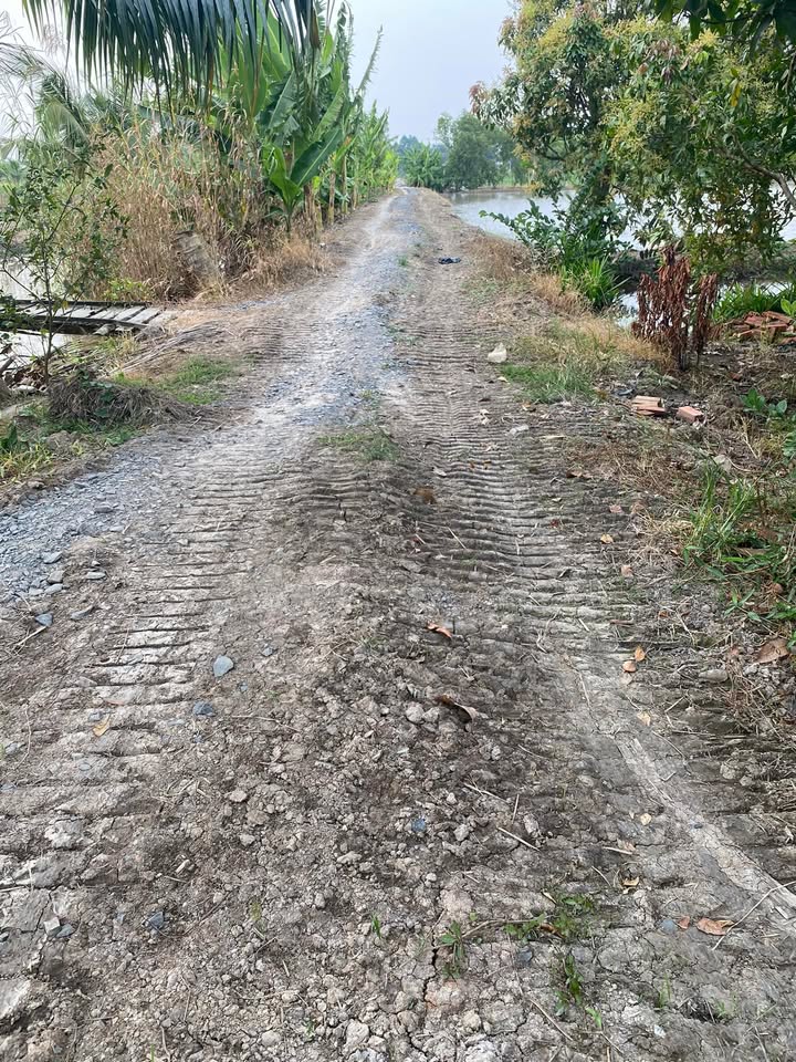 Đất vườn xã Vĩnh Trạch 2,9 công - Giá 1,4 tỷ thương lượng chính chủ!