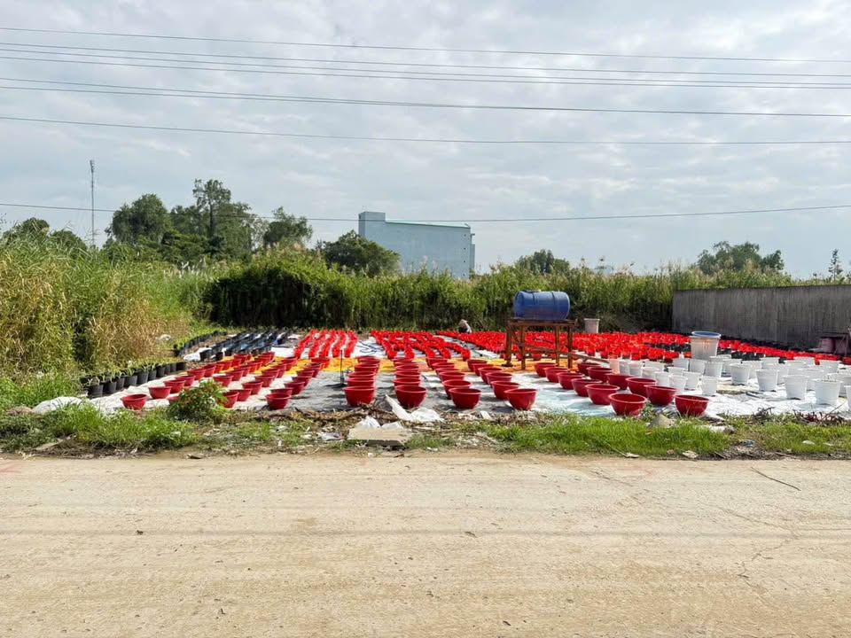 Đất nền hẻm 110 Huỳnh Tấn Phát, Long Xuyên - Giá chỉ từ 1.250 tỷ!