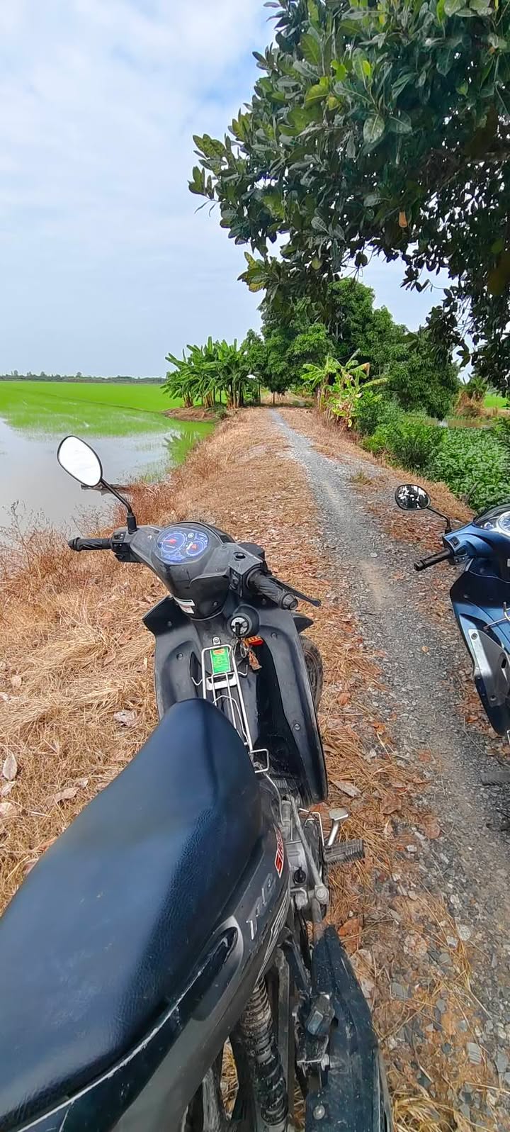 Đất nông nghiệp 72,000m² tại xã Phú Thuận, An Giang - Sổ hồng chính chủ giá 4 tỷ!