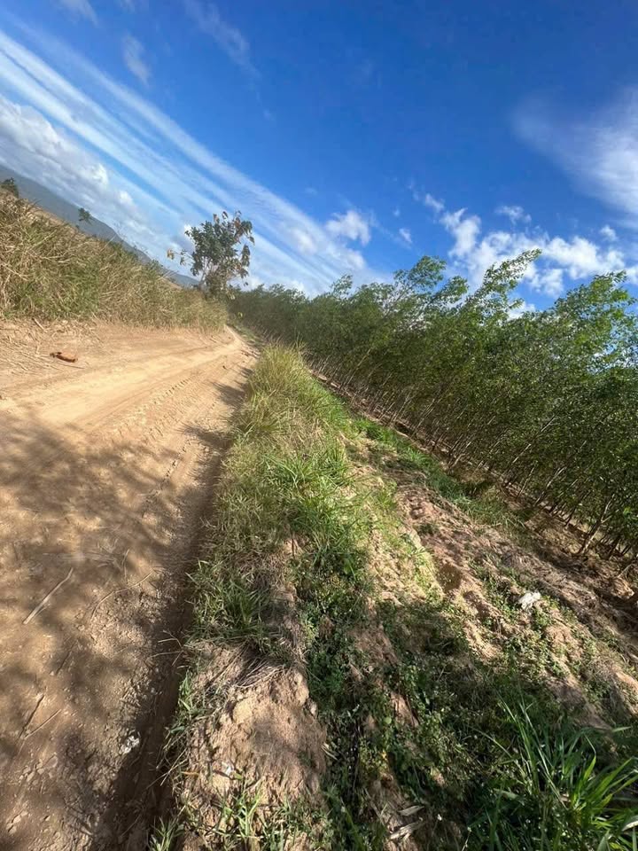 Đất nền 7.100m² tại Quảng Sơn, Ninh Sơn – Giá chỉ 490 triệu, đầu tư siêu lợi nhuận!