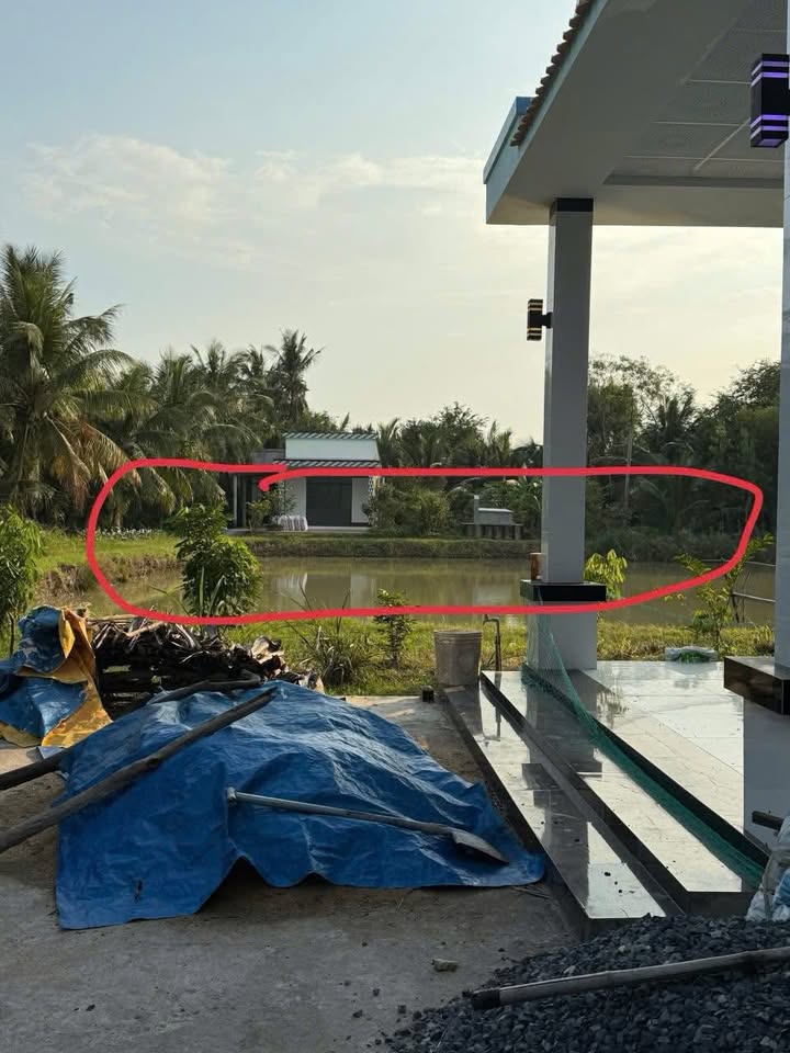 Đất lúa 2000m² Cà Tum B, Cầu Ngang chỉ 200 triệu - Đầu tư sinh lời ngay!