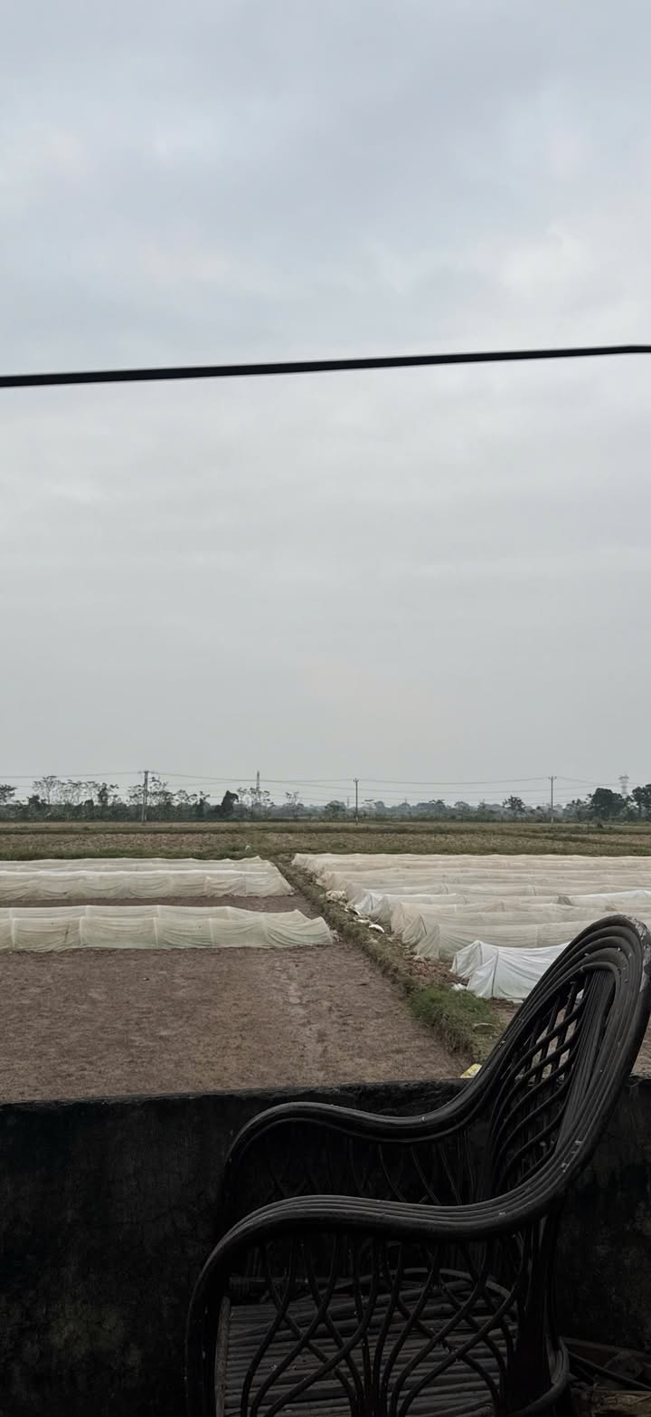 Nhà riêng Yên Thường, Gia Lâm 64m² giá 6.9 tỷ - Sổ đỏ chính chủ, tiện ích đầy đủ!