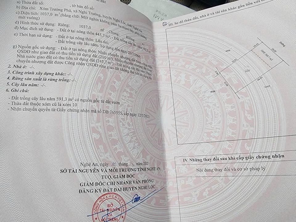 Đất Nghi Trường Nghi Lộc 1.037m² - Chính chủ bán giá tốt!