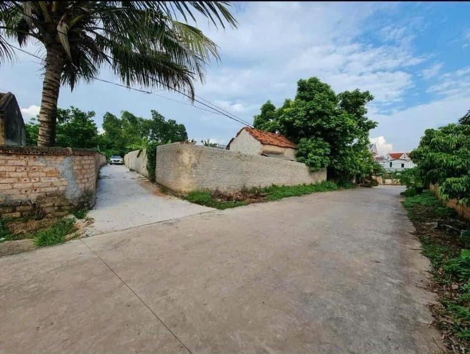 Đất nền Tân Hưng, Lạng Giang 139m² giá 700 triệu - Đầu tư sinh lời ngay!