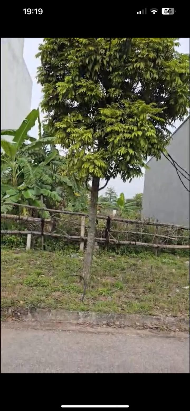 Đất nền khu đô thị Kosy Bắc Giang 75m² giá 2 tỷ - Đầu tư sinh lời ngay!