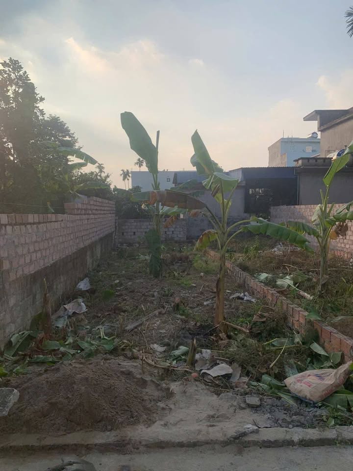 Đất thổ cư phường Thiên Hương 61m² giá 1.5 tỷ - Sổ đỏ chính chủ, ô tô đỗ cửa!