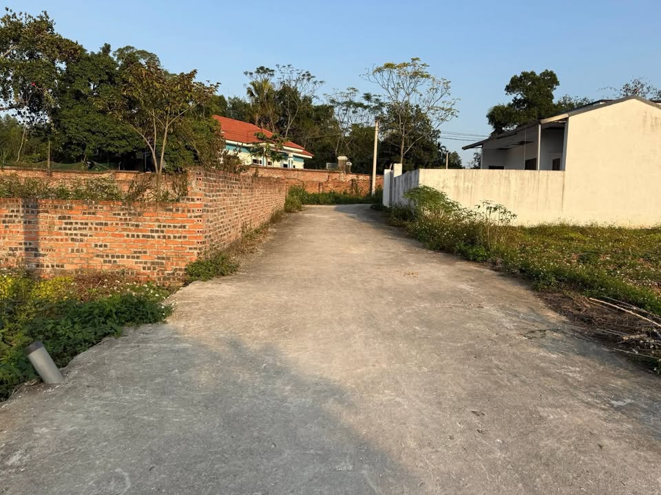 Bán đất khu phố 4, Hy Cương, Việt Trì 85m² giá 700 triệu - Cơ hội đầu tư tuyệt vời!