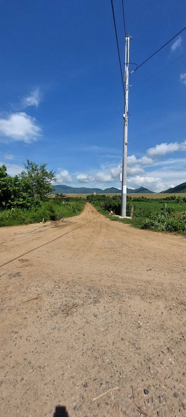 Đất thổ cư Ninh Thuận 1.823m² giá 380 triệu - Gần mặt đường bê tông!