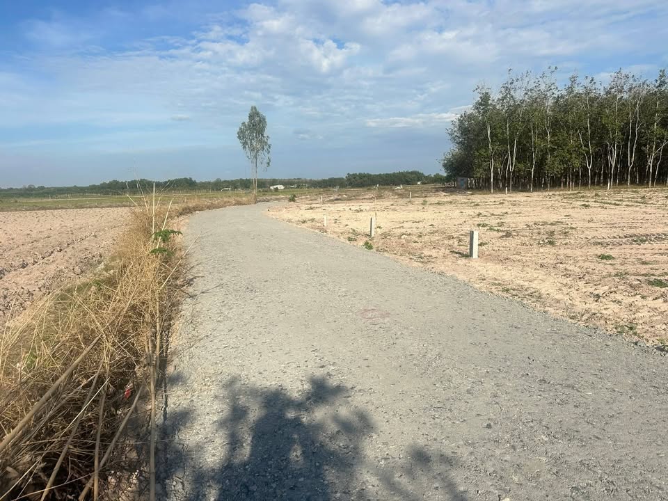 Đất thổ cư 250m² tại ấp Long Phú, Tây Ninh - Giá chỉ 260 triệu!