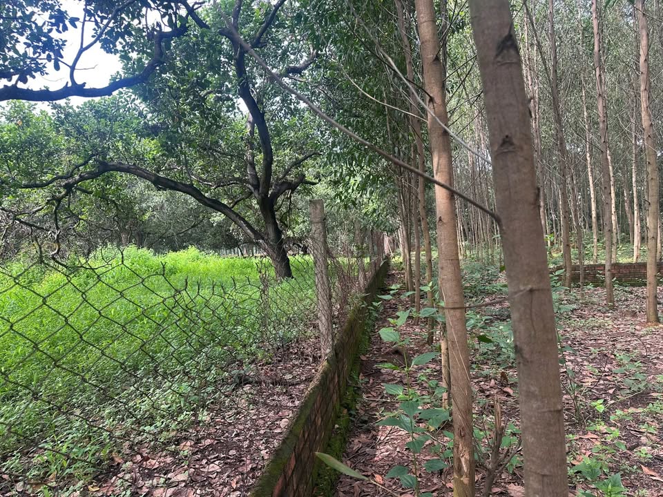 Đất nền mặt tiền ĐT768 – Trị An 2300m² giá 5.4 tỷ - Đầu tư sinh lời ngay!