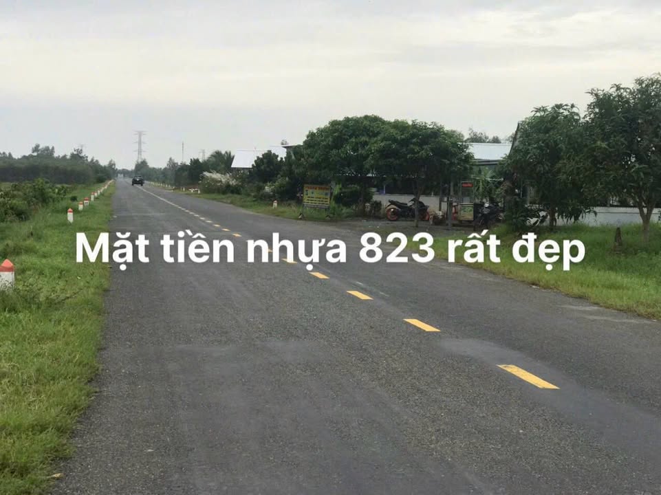 Đất Mặt Tiền TL 823, Bình Hoà Nam, Đức Huệ, 1598m² - Cơ Hội Đầu Tư Hiếm Có!