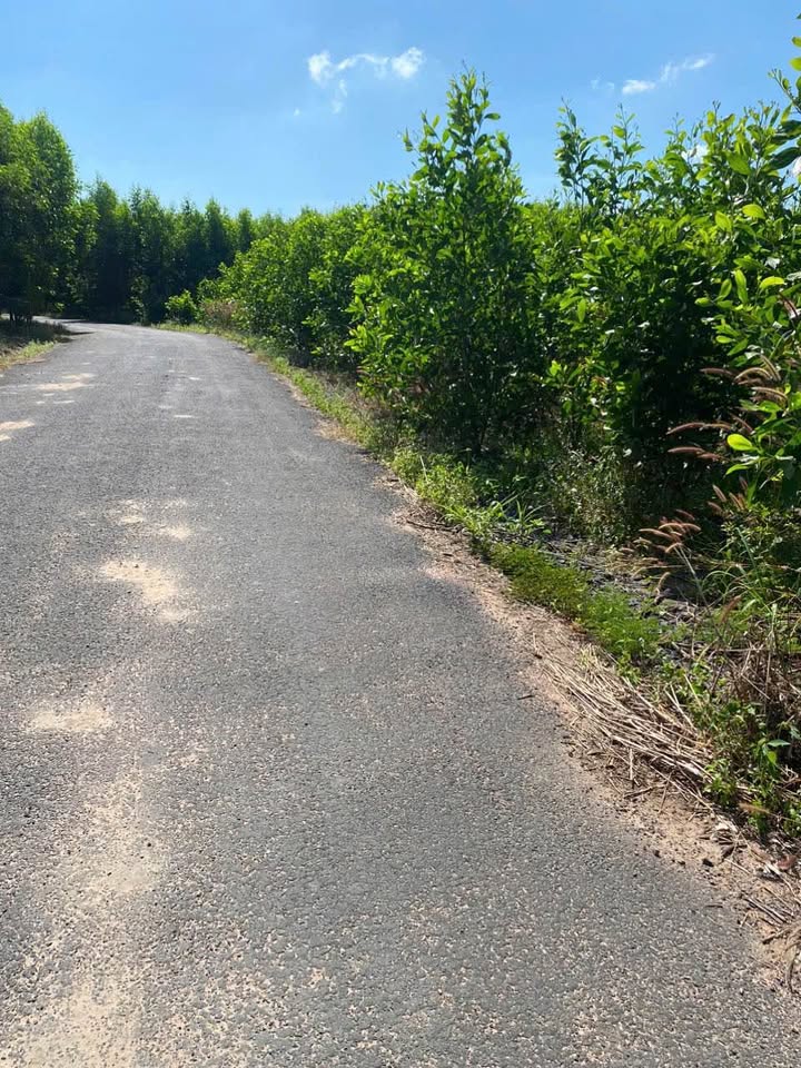 Đất nền Hoà Hội, Xuyên Mộc, Bà Rịa - Vũng Tàu 13000m² giá 3.25 tỷ - Cơ hội đầu tư hấp dẫn!