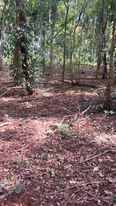 Đất nền 1,2ha phường Thành Nhất, Buôn Ma Thuột - Giá 4 tỷ, cơ hội đầu tư hấp dẫn!