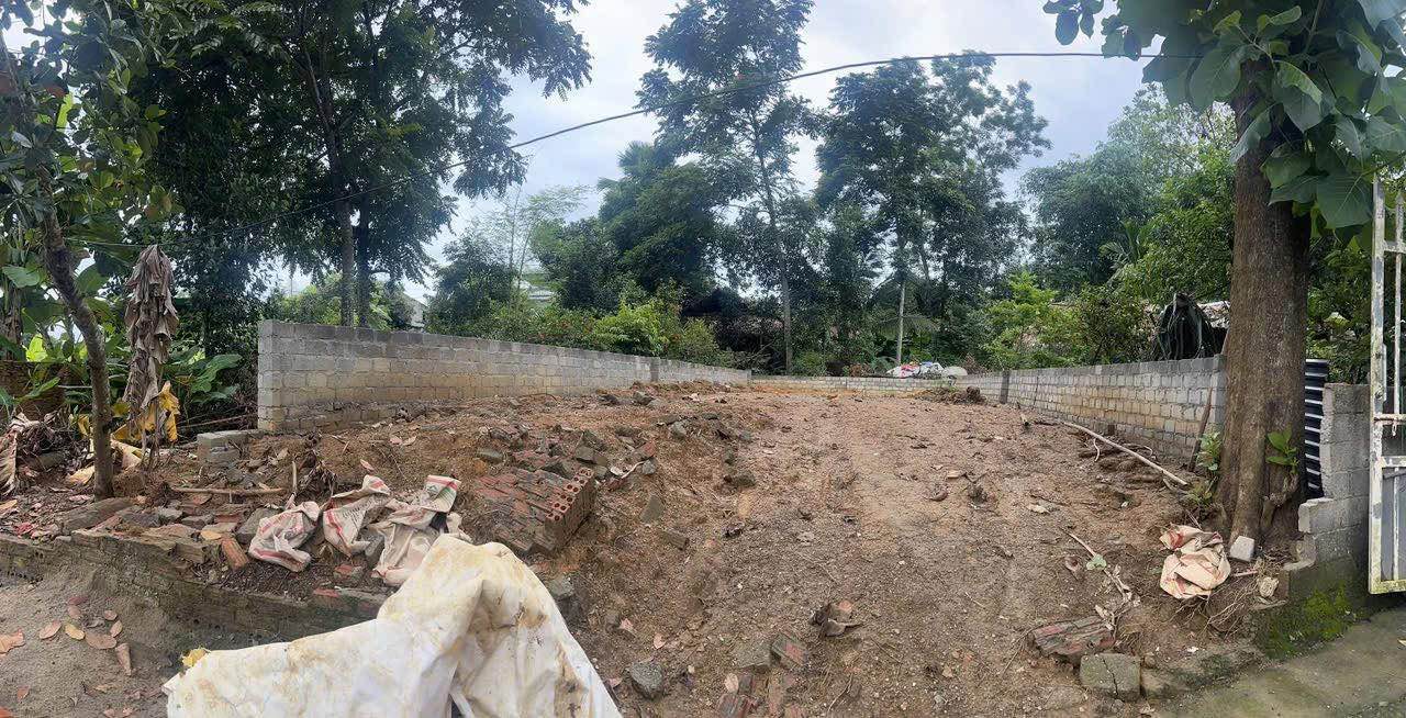 Đất nền khu TDP Đồng Lem, An Tường 160m² - Sổ đỏ chính chủ, giá thỏa thuận!