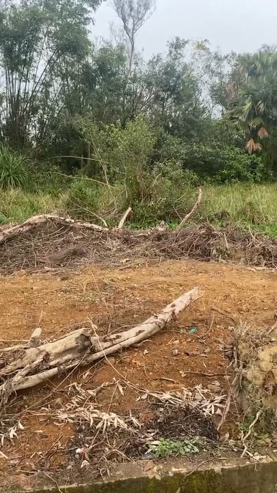 Lô đất chính chủ xã Đức Thịnh 200m² chỉ 1.3 tỷ - Đầu tư sinh lời ngay!