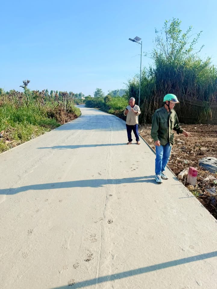 Đất nền Tân Hội, Đức Trọng 200m² giá 610 triệu - Cơ hội đầu tư hấp dẫn!