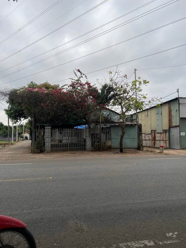 Nhà cho thuê mặt tiền QL56, Hòa Long, Bà Rịa 500m² - Không gian sân vườn rộng rãi!