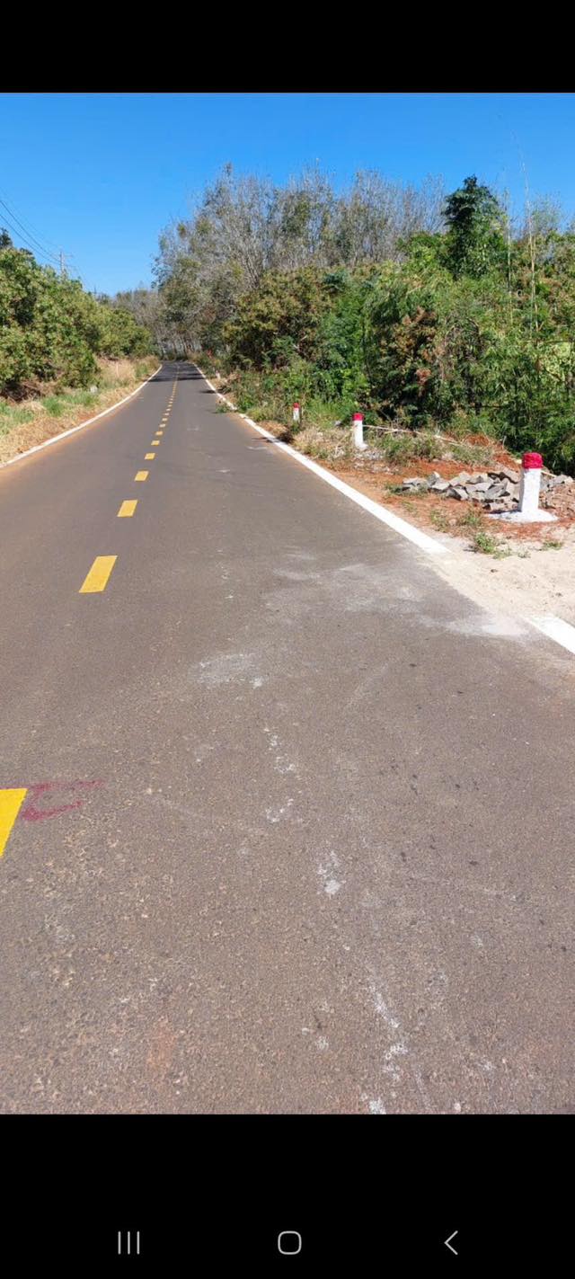 Farm 1,9ha mặt tiền Nhựa, Thọ Sơn, Bù Đăng 6,1 tỷ - Cơ hội đầu tư sinh lời!