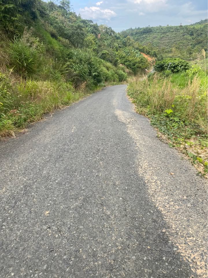 Đất Lộc Nam Bảo Lâm 13.320m² giá 400 triệu - Đường nhựa 3 mặt tiền!