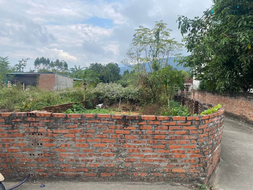 Đất 2 mặt thoáng Minh Quang, Tam Đảo 108m² giá chỉ 800 triệu - Đầu tư sinh lời!