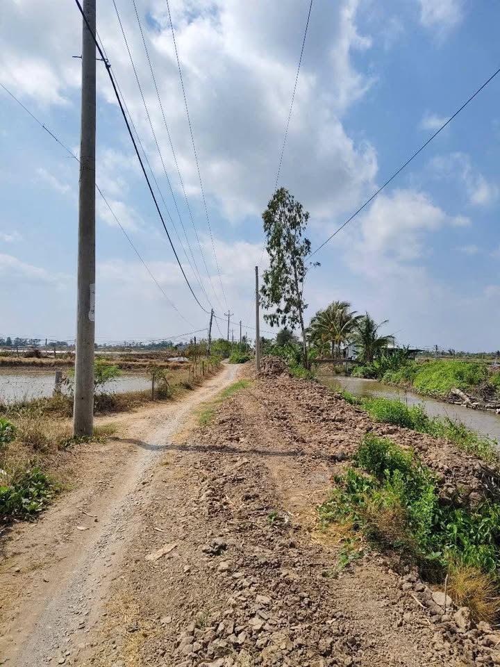 Đất nền 5600m² Ấp Hòa Muôn - Giá chỉ 390 triệu, cơ hội đầu tư hấp dẫn!