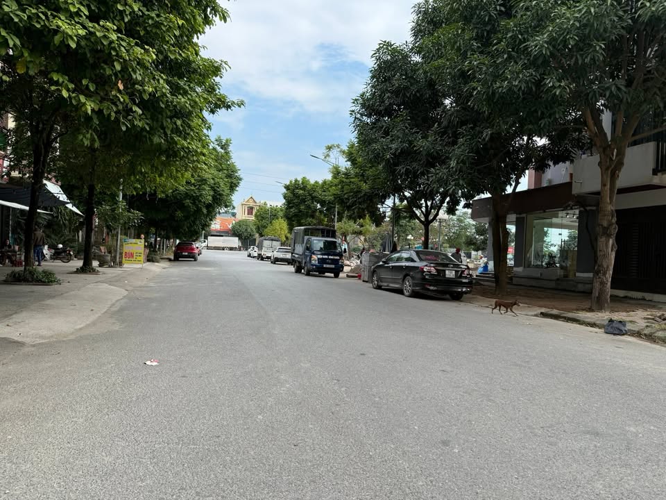 Đất nền 99m² tại phường Thanh Miếu, Việt Trì - Giá chỉ 4 tỷ