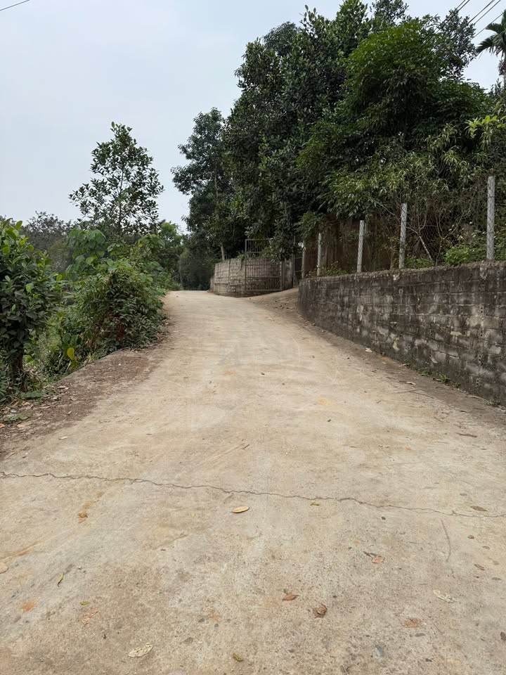 Đất nền Phong Châu, Phù Ninh 100m² giá 500 triệu - Cơ hội đầu tư tuyệt vời!