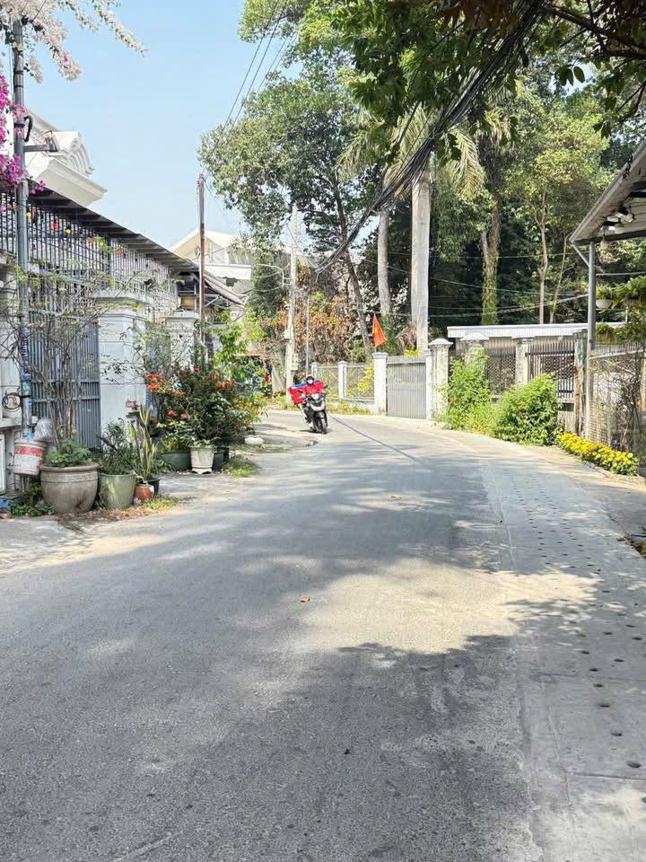 Đất thổ cư Hẻm 288 Nhựa Thông, Thủ Dầu Một 100m² - Giá cực tốt chỉ 2 tỷ!